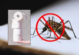 ¡Olvídate de los mosquitos! Este truco viral con papel higiénico ayuda a eliminarlos de tu casa