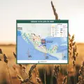 Clima en Sonora hoy 12 de julio: Mucho calor y posibles lluvias para este sábado