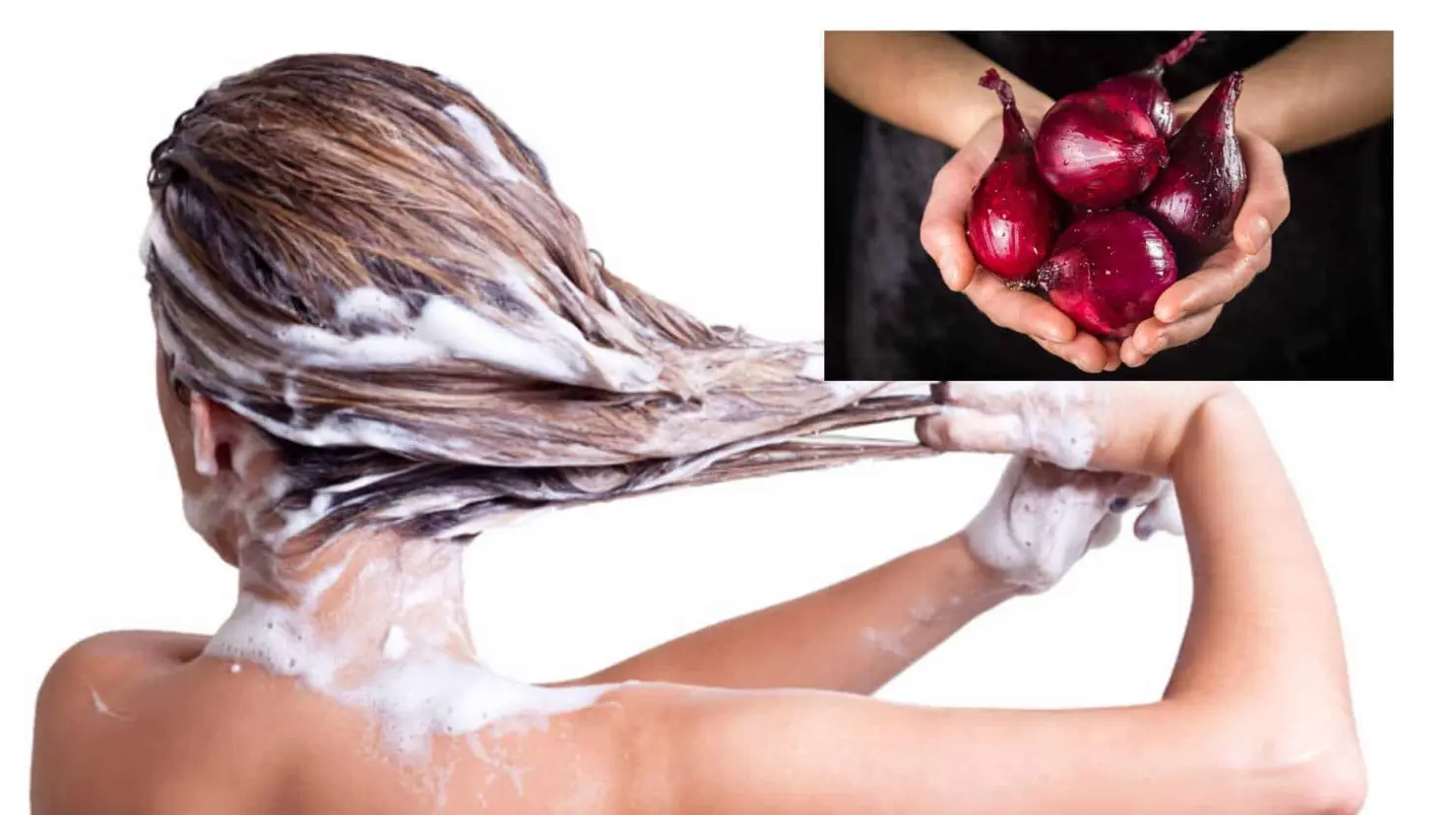 ¿Es bueno añadir cebolla al shampoo? Estos son los beneficios que podría tener