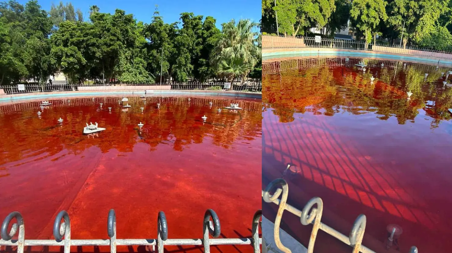 Fuente del parque Madero amaneció teñida de rojo: presunto acto de protesta por feminicidio múltiple en Hermosillo