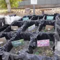 Cobach formará jóvenes con preparación ambiental en Obregón