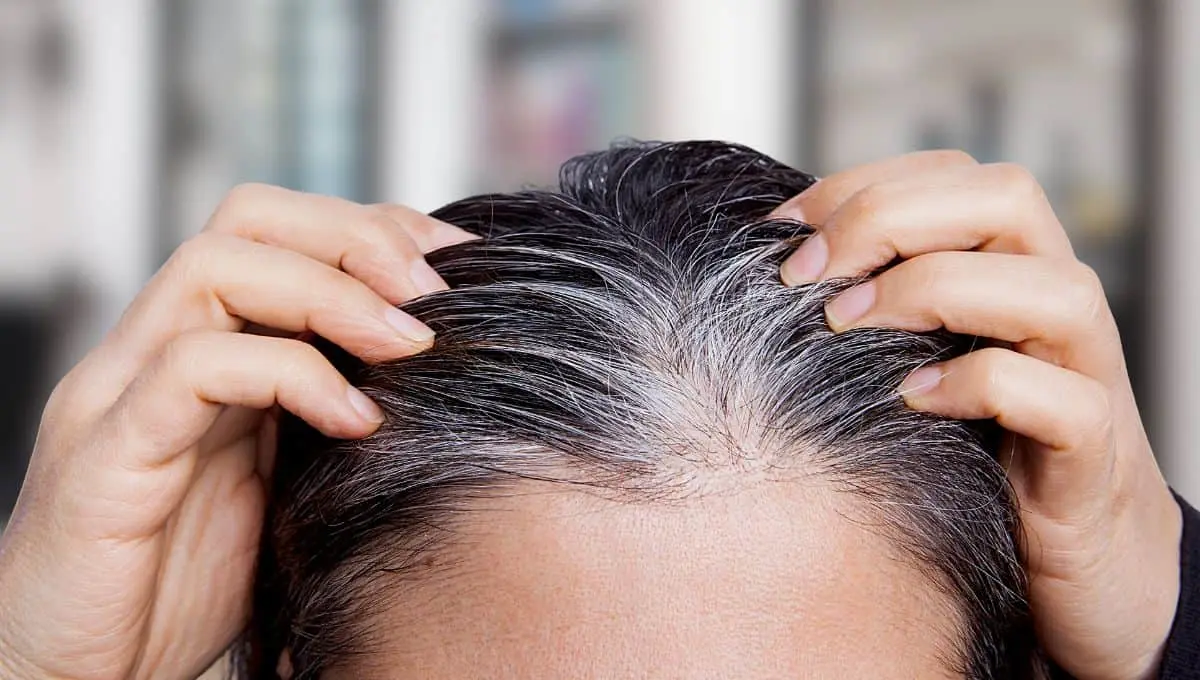 Este peinado te ayudará a tapar las canas / Canva