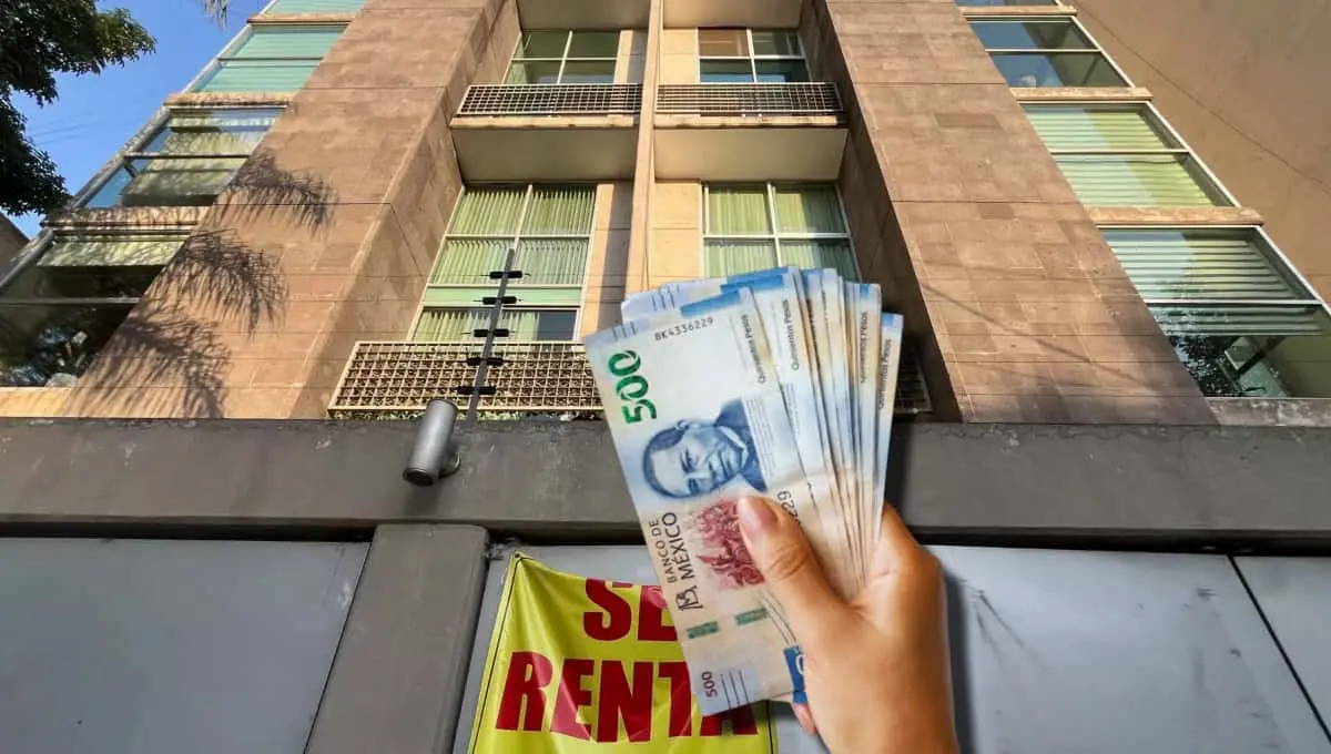 Conoce el nuevo programa, Vivienda Pública para Renta CDMX. Foto: Original