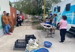 Llaman a esterilizar mascotas y animales callejeros en Ciudad Obregón