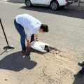 Quieren tapar baches con asfalto frío en Cajeme