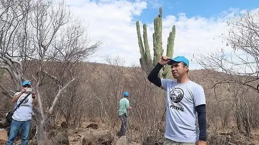 Avanza proyecto de Reserva Pitayal en el sur de Sonora