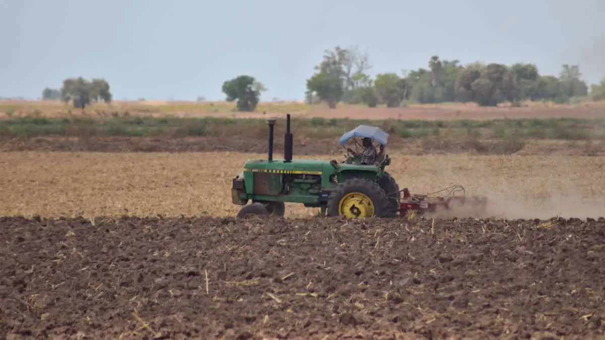 Incierto panorama para la agricultura