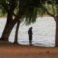 Deben visitantes cuidar a fauna de la Laguna de Náinari
