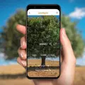 Sonora y Google juntos por la preservación del idioma yaqui