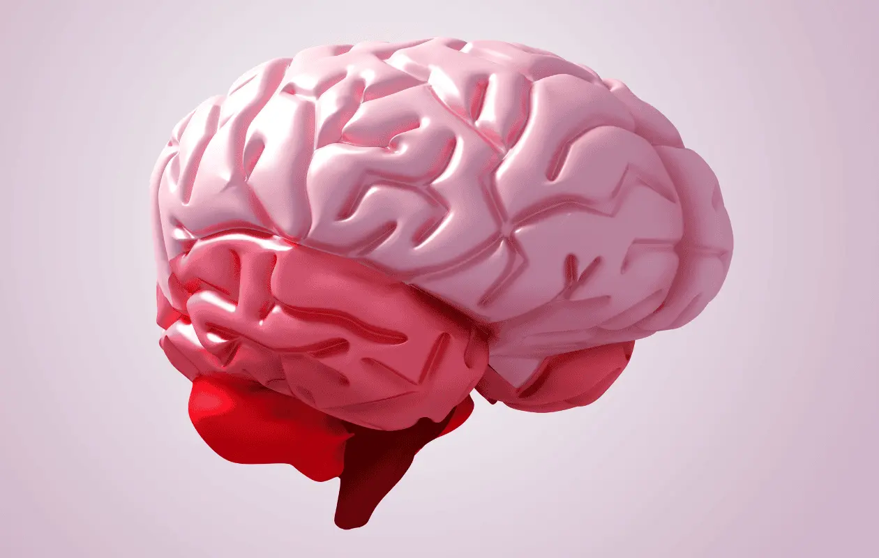 ¿Sabías que una buena alimentación impacta positivamente en el funcionamiento del cerebro?