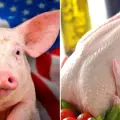 Evalúa México sanciones al pollo y cerdo de EU