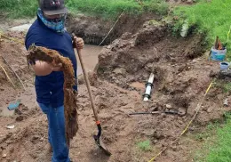 Detecta Oomapasn taponamientos en líneas de conducción recurrentemente