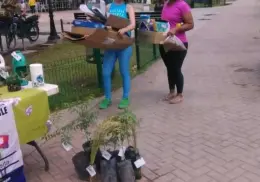 Tendrá Pachamama cuarta jornada de intercambio de plantas por material reciclable