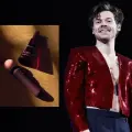 Harry Styles sorprende a sus fans y lanza su propia línea de juguetes sexuales Pleasing Yourself”