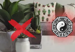 Feng Shui: 5 plantas que debes evitar tener en el interior del hogar porque bloquean la energía