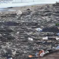 Convierten Huatabampito en depósito de basura