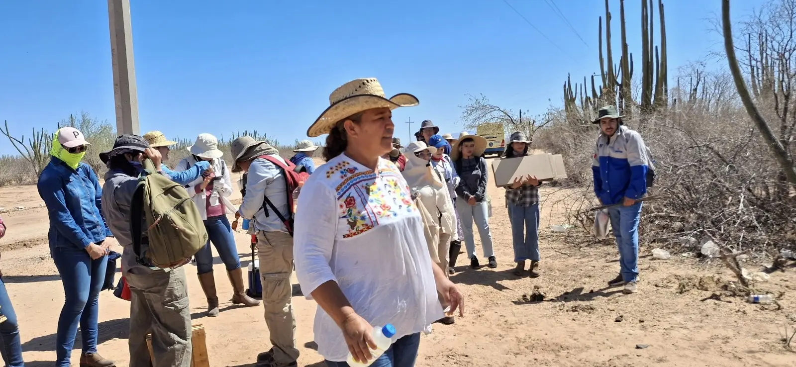 Piden apoyo para la Feria de la Pitaya 2025