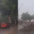 Vuelve a llover en Cajeme; reportan árboles caídos y cierran paso a desnivel