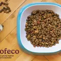 Estas son las mejores y peores marcas de alimento para perros, según Profeco