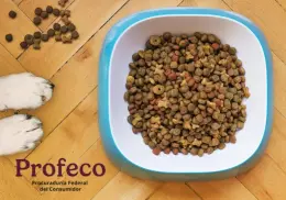 Estas son las mejores y peores marcas de alimento para perros, según Profeco