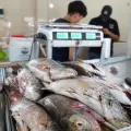 Se estabiliza mercado de pescados y mariscos