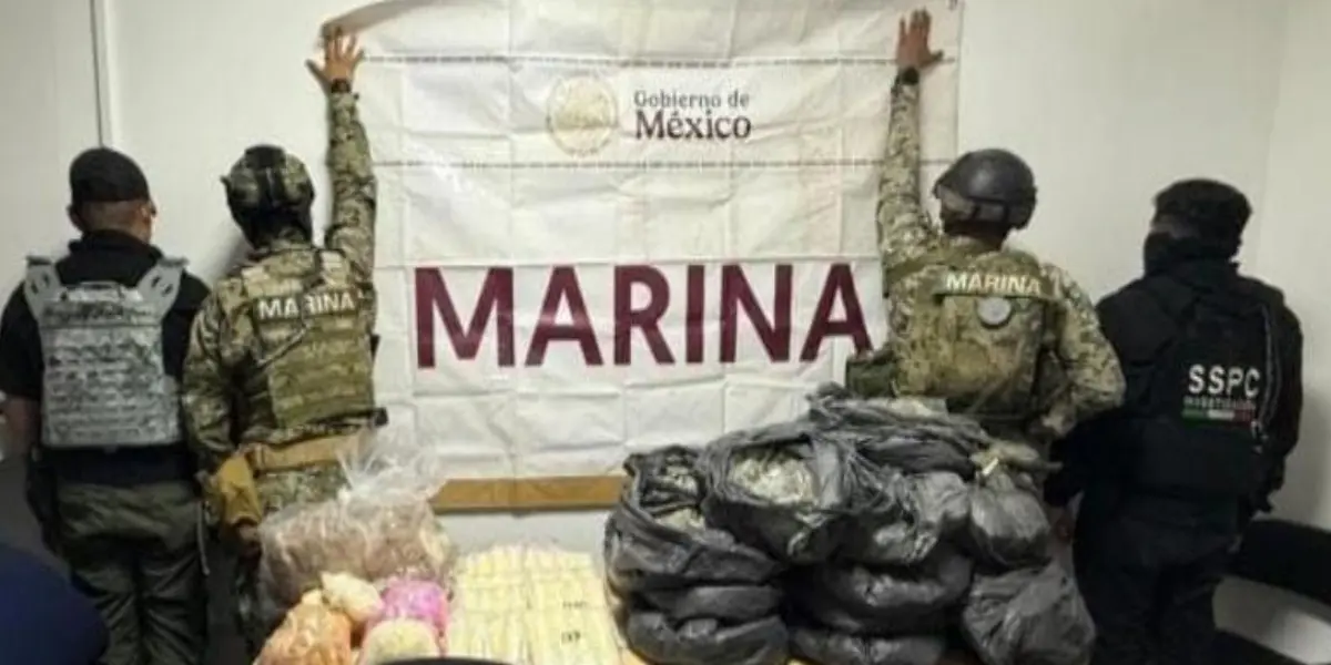 Imagen: Boletín