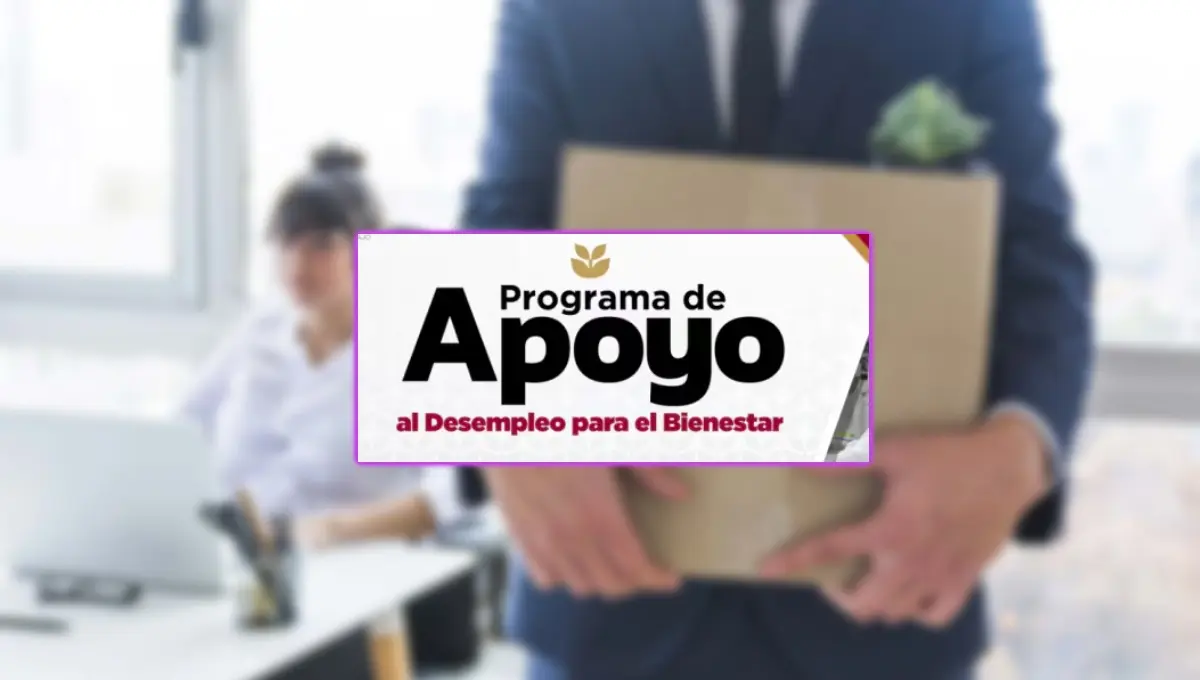 Apoyo al Desempleo en Edomex; autoridades abren registro para el programa. Foto: Original