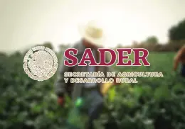 Vacante de trabajo con sueldo de 96 mil pesos en la Secretaría de Agricultura