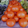 Registran considerable aumento las verduras