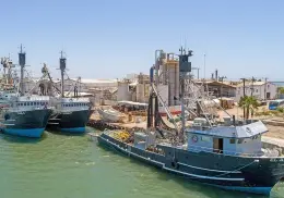 Entra en paro técnico flota sardinera de Sonora
