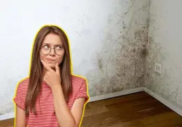 Así puedes retirar la humedad de la pared de manera rápida y sencilla