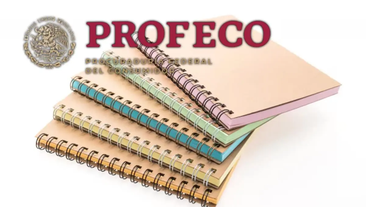 Conoce la mejor marca de cuadernos y más barata para el regreso a clases. Foto: Original