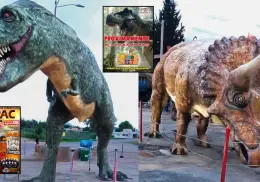 Sonora se viste de fiesta: Disfruta del Dino Fest y otros eventos en agosto