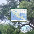 Clima en Sonora hoy, 8 de agosto: Prevén lluvias; conoce el pronóstico para Ciudad Obregón, Hermosillo y otras ciudades
