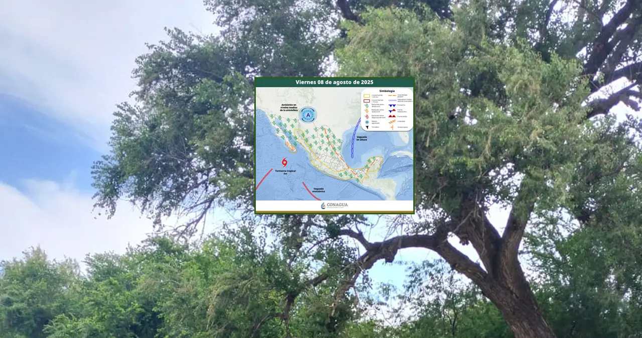 Clima en Sonora hoy, 8 de agosto: Se esperan lluvias; conoce el pronóstico para Ciudad Obregón, Hermosillo y otras ciudades