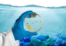 Bacterias marinas: aliadas para limpiar el mar y playas contaminadas con petróleo y plásticos