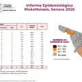 Tiene Sonora 41% de letalidad por rickettsiosis