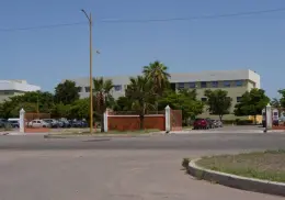 Búhos regresan a la Unison Cajeme