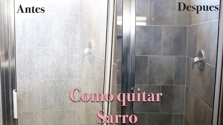 imagen-cuerpo
