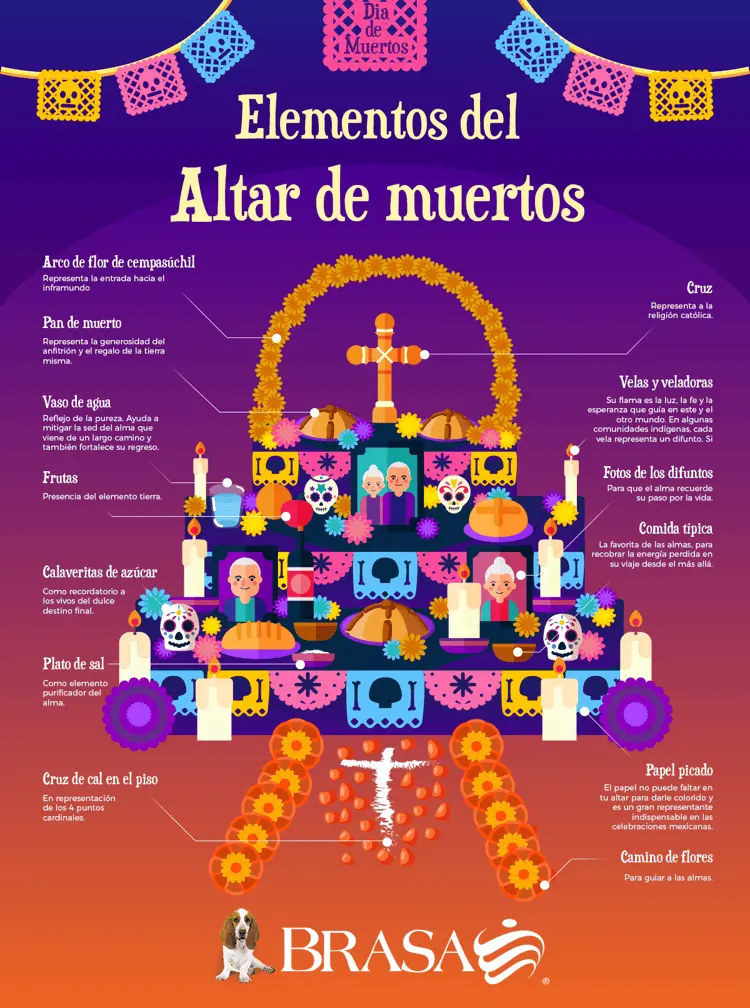 imagen-cuerpo