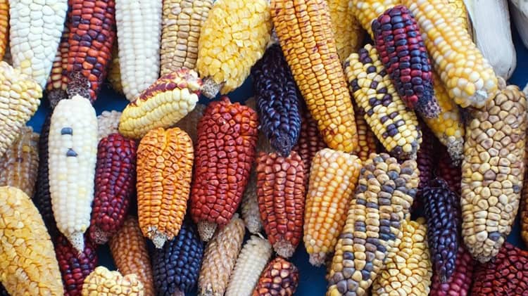 imagen-cuerpo imagen-cuerpo