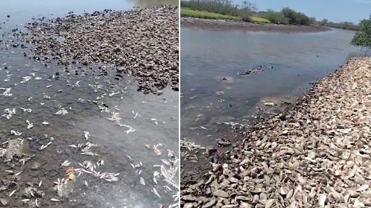 imagen-cuerpo imagen-cuerpo