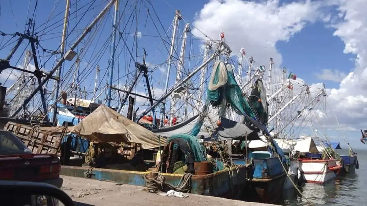 Exigen solución a ecocidio marino