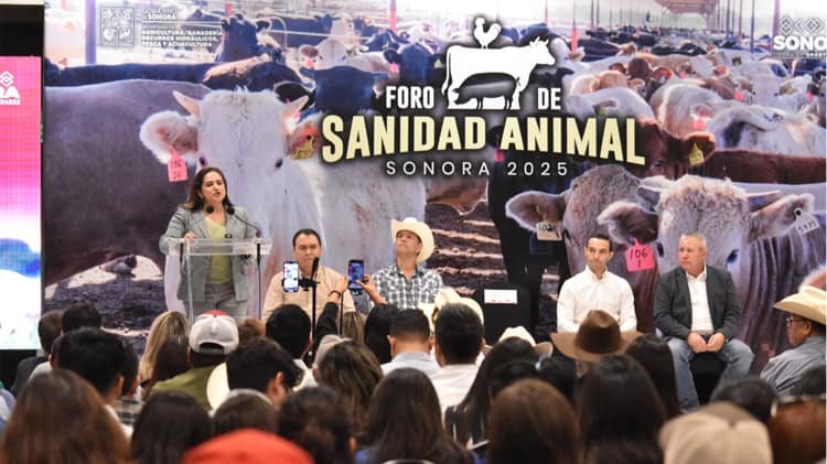 imagen-cuerpo imagen-cuerpo