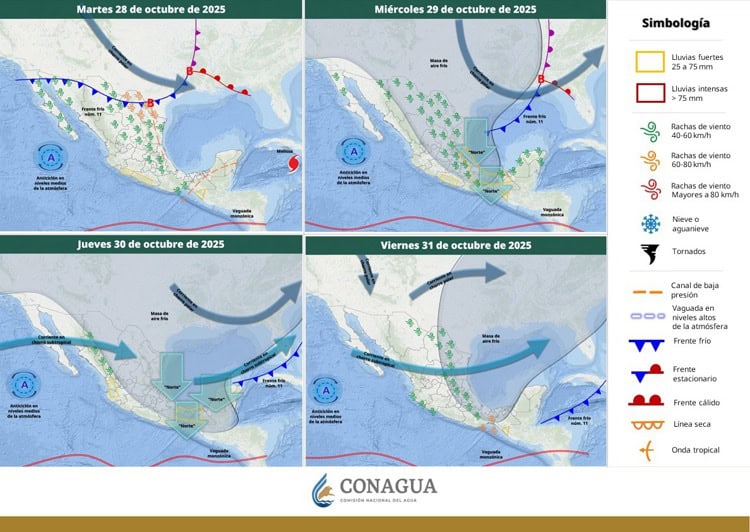 imagen-cuerpo imagen-cuerpo