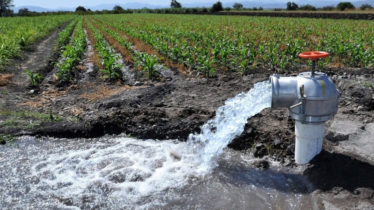 imagen-cuerpo imagen-cuerpo