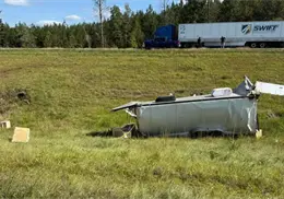 Buscan con urgencia a mono agresivo e infectado de enfermedades contagiosas a humanos Buscan con urgencia a mono agresivo e infectado de enfermedades contagiosas a humanos