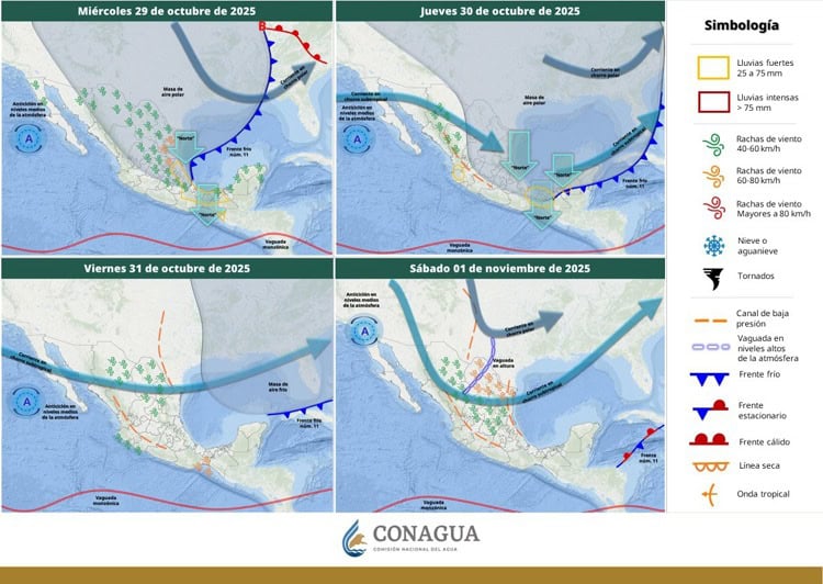 imagen-cuerpo imagen-cuerpo