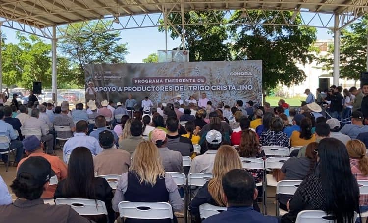 imagen-cuerpo imagen-cuerpo