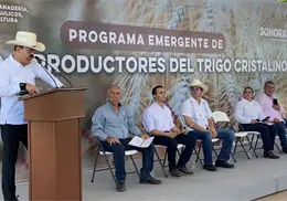 Apoya Alfonso Durazo al campo sonorense con incentivo al trigo entregado en Navojoa